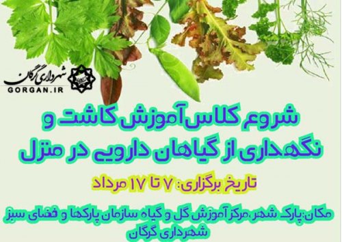 کلاس رایگان کاشت و نگهداری از گیاهان  دارويي در منزل از سوي سازمان سيما؛ منظر وفضاي سلز شهرداري گرگان