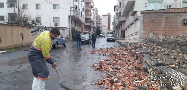  بر اثر طوفان شدید بامداد پنجشنبه؛ 73 اصله درخت در سطح شهر گرگان سقوط کرد