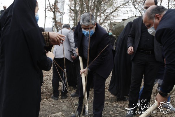 آیین درختکاری یادمان شهدای گرگان باحضور شهردار و مادران شهدا برگزار شد +تصاویر 