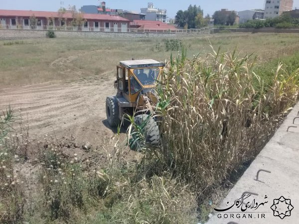 دو خبر از خدمات شهری؛ پاکسازی و لایروبی رودخانه و تداوم علف تراشی زمینهای خالی