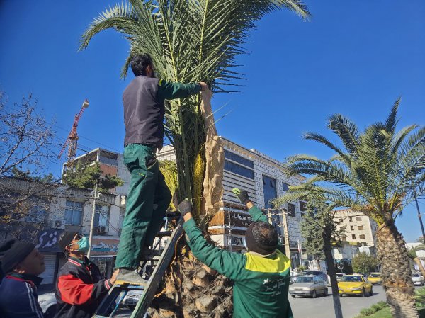 ادامه عملیات پاکسازی و برف روبی پارک ها و فضای سبز شهر گرگان