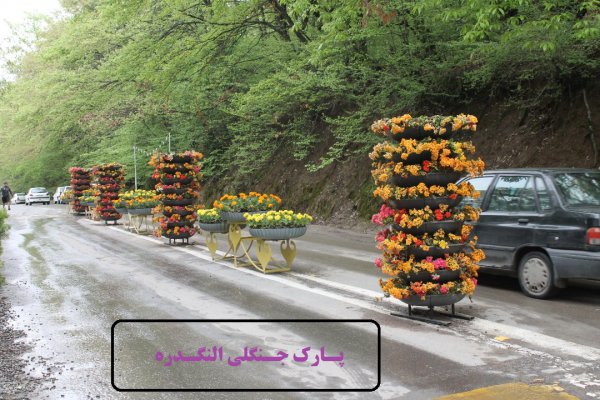 گزارش تصویری از فضاسازی و گل آرایی های زیبای شهر گرگان در ایام نوروز 1401