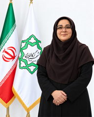 سکینه مسگر