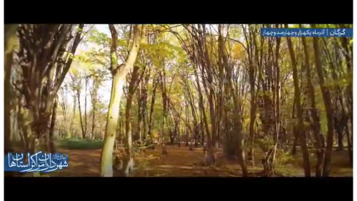 بازدید شهرداران مراکز استان&zwnj;ها از پارک جنگلی النگدره گرگان در حاشیه اجلاس سراسری شهرداران مراکز استان&zwnj;ها ب ...