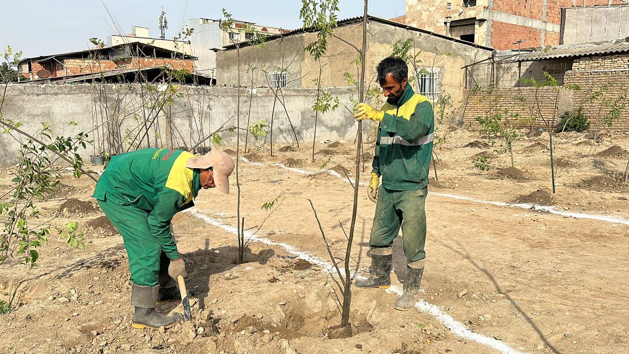 عملیات احداث بوستان وحدت در مساحت 3 هزار متر مربع آغاز شد