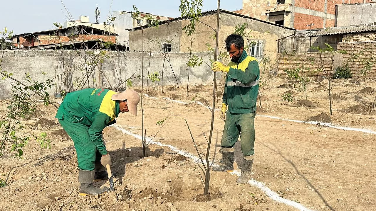 عملیات احداث بوستان وحدت در مساحت 3 هزار متر مربع آغاز شد