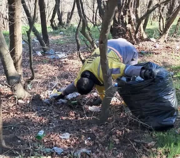 پاکسازی محور جنگلی هزارپیچ از زباله