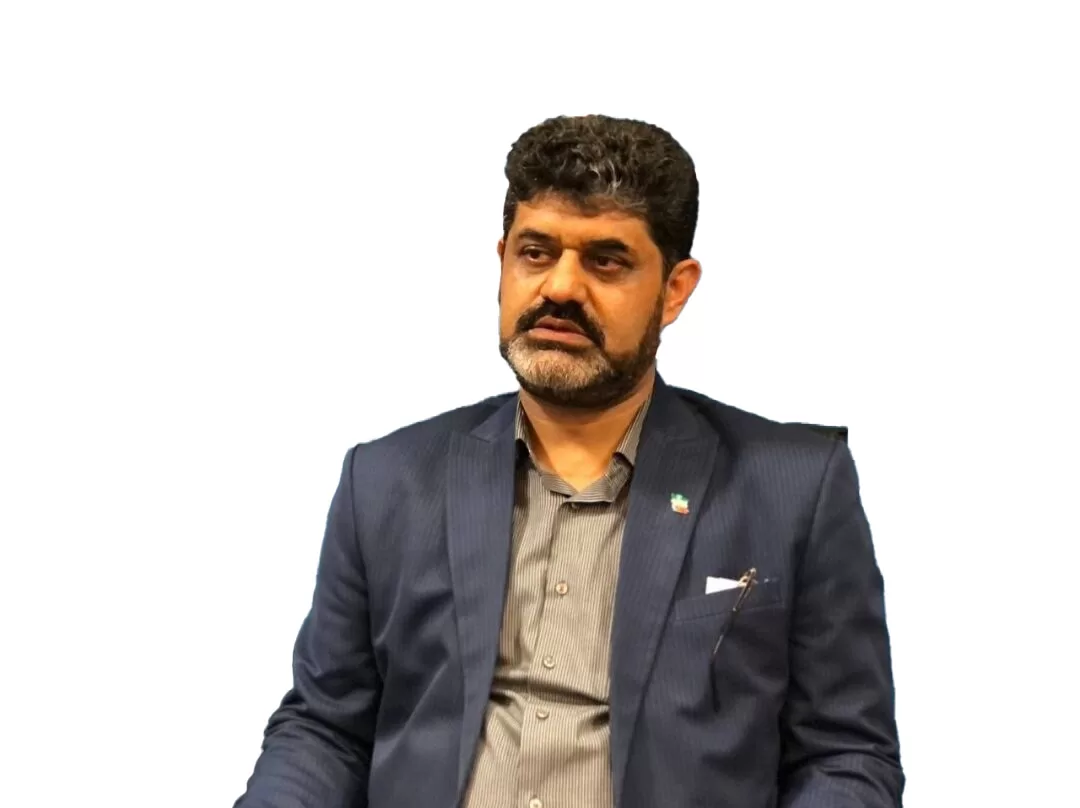 سید محمدرضا سید&zwnj;النگی