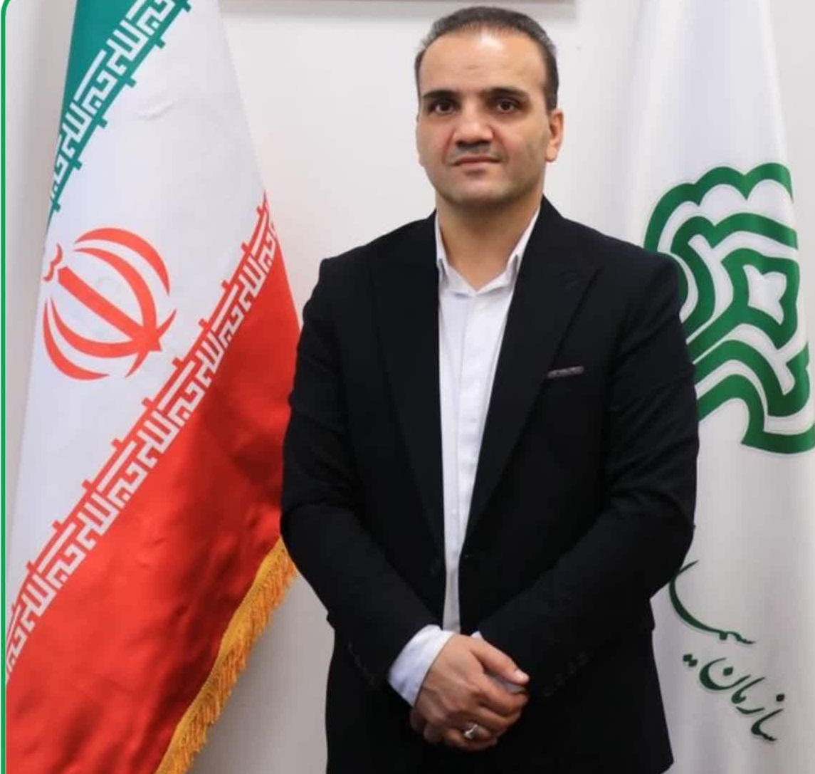 دو اصله درخت پالم خطرساز در عدالت ۶۹ گرگان رفع خطر شدند