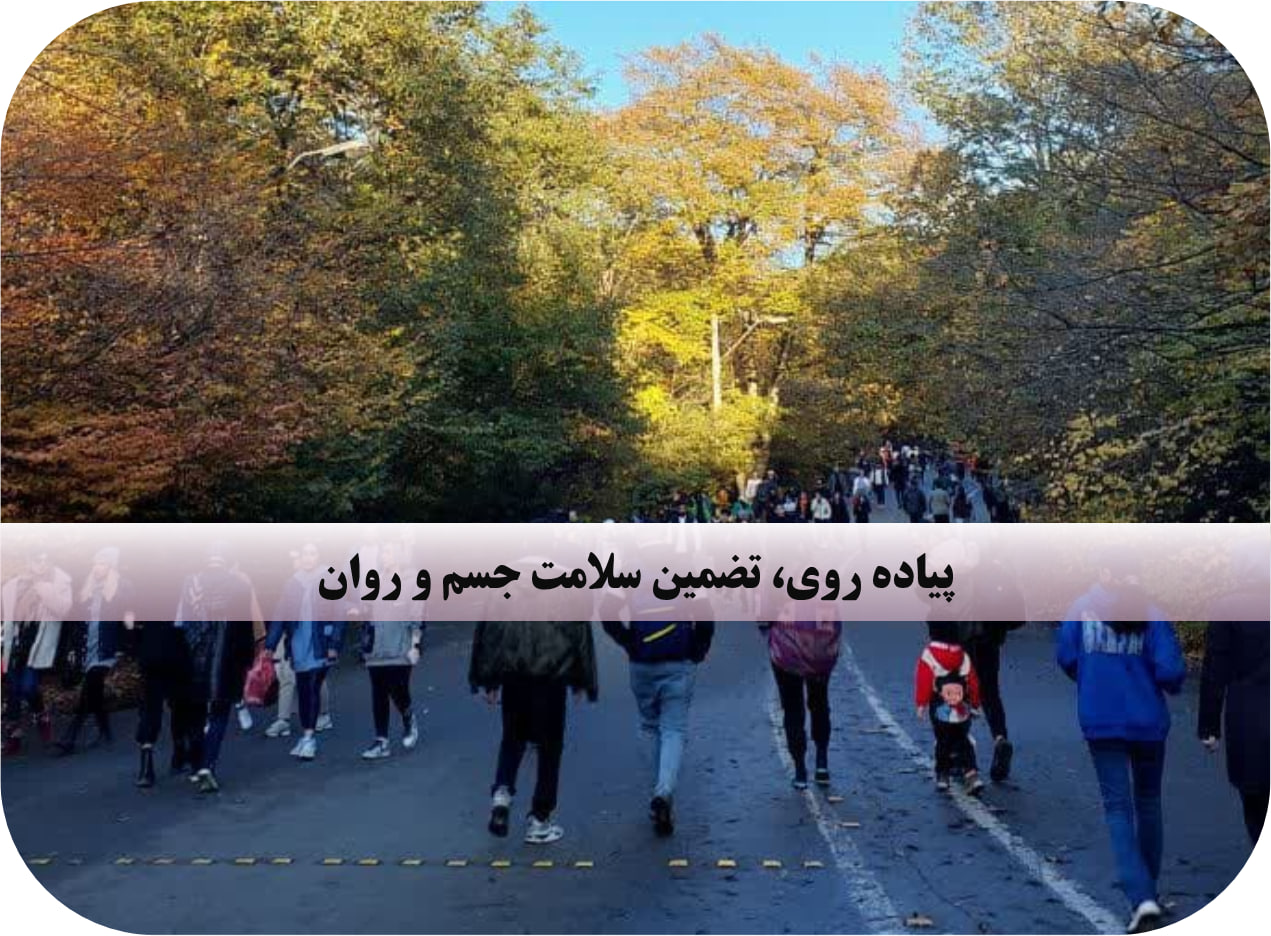 پیاده‌روی جنگلی