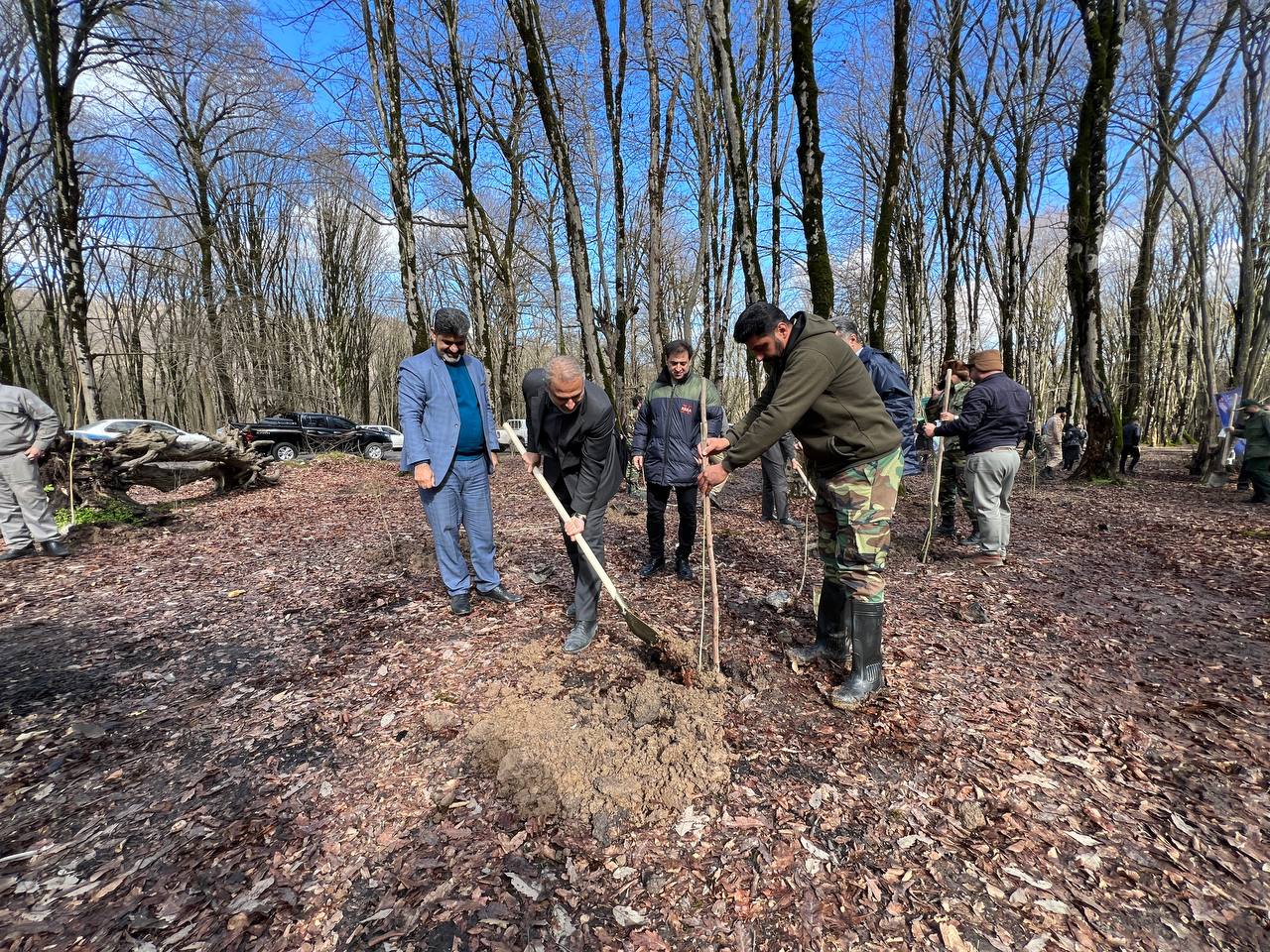 شروع عملیات کاشت ۵ هزار اصله نهال در پارک‌های جنگلی النگدره و ناهارخوران - 4
