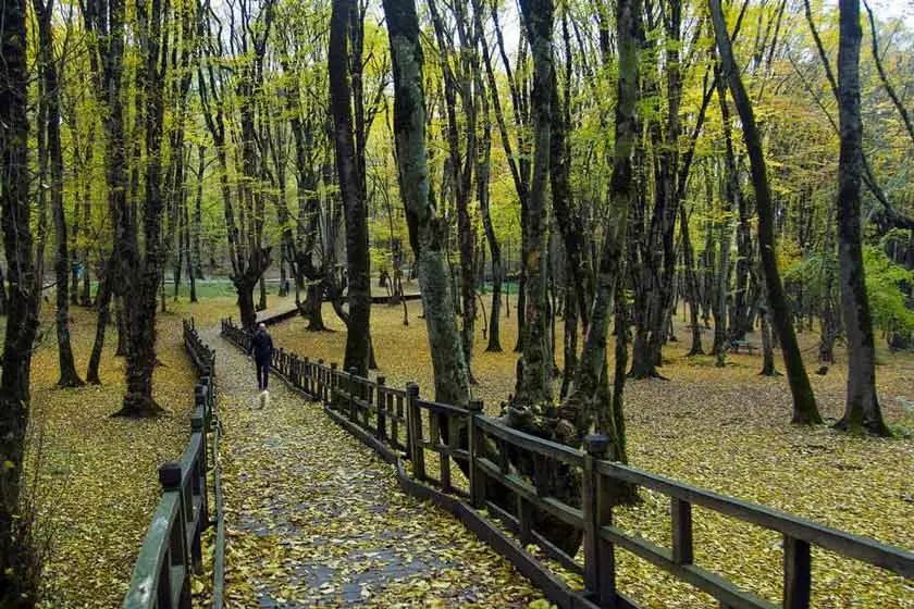 تصویر نمایشی پست - 