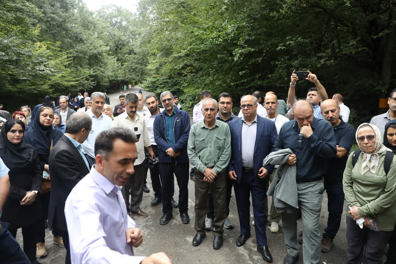 گزارش تصویری/ آیین گرامیداشت هفتمین سالگرد &laquo;ثبت جهانی جنگل&zwnj;های هیرکانی&raquo; به عنوان میراث طبیعی یونسکو - 7