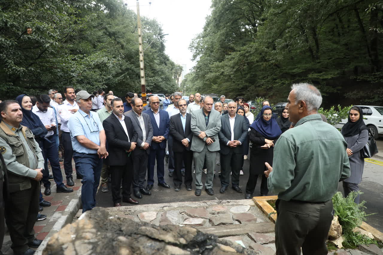 گزارش تصویری/ آیین گرامیداشت هفتمین سالگرد &laquo;ثبت جهانی جنگل&zwnj;های هیرکانی&raquo; به عنوان میراث طبیعی یونسکو - 8