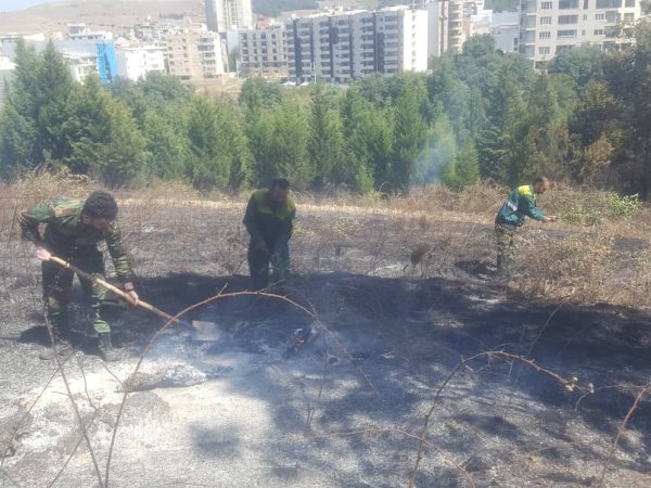 تلاش نیروهای امدادی شهرداری گرگان در اطفاء آتش سوزی درختان سروش جنگل