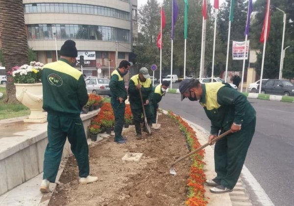 قدس ولی: بیش از یک میلیون بوته گل در سطح شهر گرگان کاشته شد