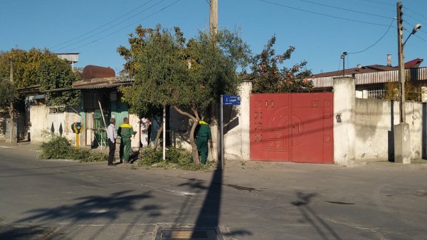 قدس ولی خبر داد: اقدامات جهادی سازمان فضای سبز شهرداری گرگان در کوی انجیراب